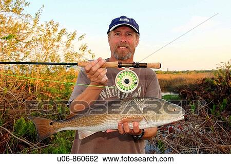 a fly fisherman with a redfish in Florida in the USA View Large Photo Image Stock Image - a fly fisherman with a redfish in Florida in the USA. Fotosearch