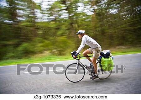 Stock Photograph - A forest tunnel on the way to the South Island's West coast, New Zealand. Fotosearch