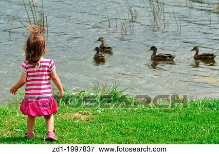 A girl looks at ducks on a lake. View Large Photo Image Stock Photo - A girl looks at ducks on a lake.. Fotosearch