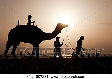 Stock Image - A girl riding a camel at sunset. Fotosearch