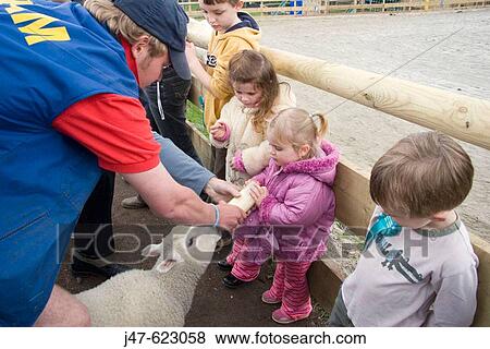 A group of young children at a farm feeding the lambs, milk from a bottle View Large Photo Image Stock Photo - A group of young children at a farm feeding the lambs, milk from a bottle. Fotosearch
