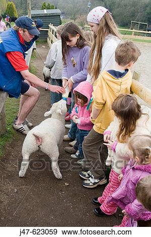 A group of young children at a farm, waiting in a line to feed the lambs View Large Photo Image Stock Photo - A group of young children at a farm, waiting in a line to feed the lambs. Fotosearch