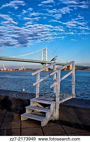 A gull along the Delaware river. View Large Photo Image Stock Photo - A gull along the Delaware river.. Fotosearch