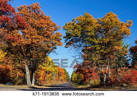 Stock Photography - A highway with brilliant fall foliage color near Minocqua, Wisconsin, USA. Fotosearch