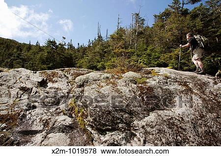 A hiker ascending Ammonoosuc Ravine Trail during the summer months Located in the White Mountains, New Hampshire USA View Large Photo Image Stock Photo - A hiker ascending Ammonoosuc Ravine Trail during the summer months Located in the White Mountains, New Hampshire USA. Fotosearch