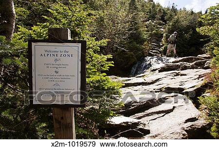 A hiker ascending Ammonoosuc Ravine Trail during the summer months Located in the White Mountains, New Hampshire USA View Large Photo Image Stock Photo - A hiker ascending Ammonoosuc Ravine Trail during the summer months Located in the White Mountains, New Hampshire USA. Fotosearch