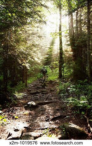 A hiker ascending Ammonoosuc Ravine Trail during the summer months Located in the White Mountains, New Hampshire USA View Large Photo Image Stock Photograph - A hiker ascending Ammonoosuc Ravine Trail during the summer months Located in the White Mountains, New Hampshire USA. Fotosearch