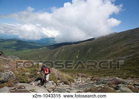 A hiker ascending Ammonoosuc Ravine Trail during the summer months Located in the White Mountains, New Hampshire USA View Large Photo Image Stock Photography - A hiker ascending Ammonoosuc Ravine Trail during the summer months Located in the White Mountains, New Hampshire USA. Fotosearch