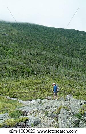 Stock Photograph - A hiker ascending the Howker Ridge Trail during the summer months in the Presidential Range of the White Mountains, New Hampshire USA. Fotosearch
