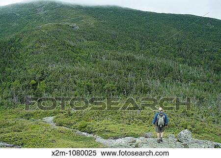 A hiker ascending the Howker Ridge Trail during the summer months in the Presidential Range of the White Mountains, New Hampshire USA View Large Photo Image Stock Photography - A hiker ascending the Howker Ridge Trail during the summer months in the Presidential Range of the White Mountains, New Hampshire USA. Fotosearch