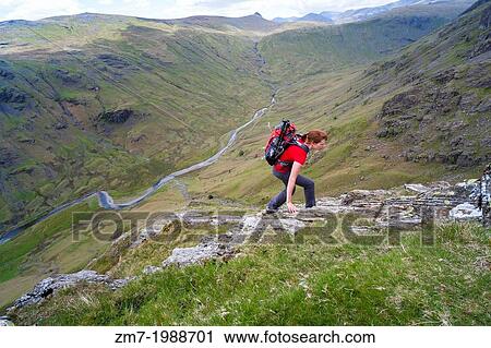 A hiker climbing Cam Crag Ridge in the Langstrath valley leading to the summit of Glaramara in the Lake District, Cumbria. View Large Photo Image Stock Image - A hiker climbing Cam Crag Ridge in the Langstrath valley leading to the summit of Glaramara in the Lake District, Cumbria.. Fotosearch