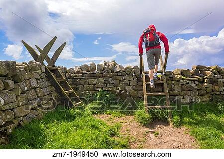 A hiker crosses a stile on the Hadrians Wall Walk at Crag Lough in Northumberland, England, UK. View Large Photo Image Stock Image - A hiker crosses a stile on the Hadrians Wall Walk at Crag Lough in Northumberland, England, UK.. Fotosearch