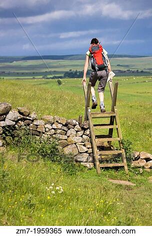 A hiker crossing a stile on the Hadrians Wall Walk in Northumberland, North East of England, UK. View Large Photo Image Stock Photography - A hiker crossing a stile on the Hadrians Wall Walk in Northumberland, North East of England, UK.. Fotosearch
