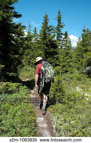 A hiker on Baldface Circle Trail heading towards North Baldface Mountain in the scenic landscape of the White Mountains, New Hampshire USA during the spring months Notes: View Large Photo Image Stock Photography - A hiker on Baldface Circle Trail heading towards North Baldface Mountain in the scenic landscape of the White Mountains, New Hampshire USA during the spring months Notes:. Fotosearch