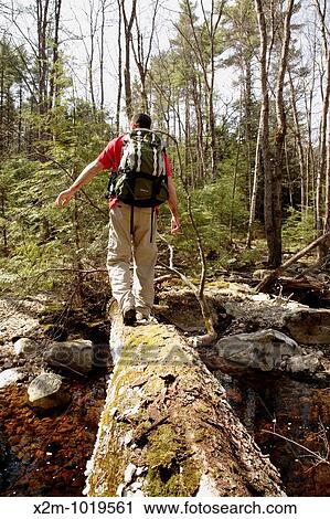 A hiker uses a fallen tree to cross a small brook View Large Photo Image Stock Image - A hiker uses a fallen tree to cross a small brook. Fotosearch