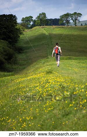 A hiker walking alongside the Vallum on the Hadrians Wall Walk in Northumberland, North East of England, UK. View Large Photo Image Stock Photograph - A hiker walking alongside the Vallum on the Hadrians Wall Walk in Northumberland, North East of England, UK.. Fotosearch