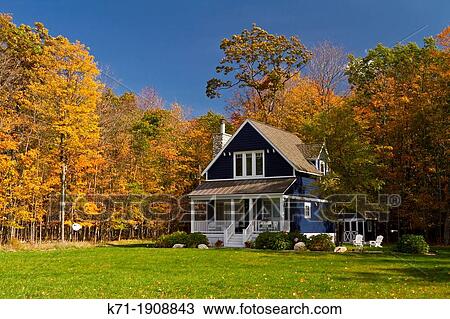 A home in the forest with fall foliage color along Highway 119 in Michigan's Lower Peninsula, USA. View Large Photo Image Stock Image - A home in the forest with fall foliage color along Highway 119 in Michigan's Lower Peninsula, USA.. Fotosearch