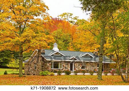 Stock Image - A home in the forest with fall foliage color along Highway 119 in Michigan's Lower Peninsula, USA.. Fotosearch