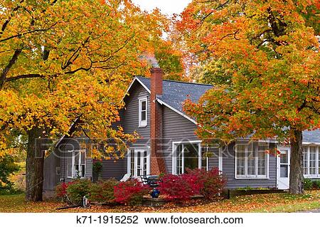 A home in the forest with fall foliage color along Highway 119 in Michigan's Lower Peninsula View Large Photo Image Stock Image - A home in the forest with fall foliage color along Highway 119 in Michigan's Lower Peninsula. Fotosearch