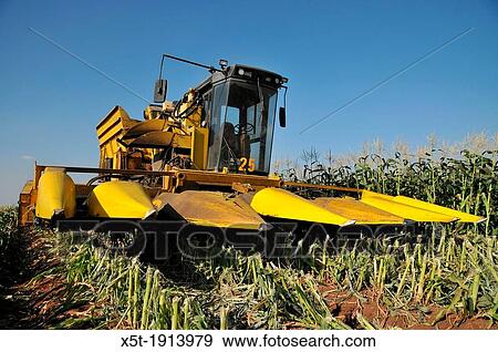 A John Deere Corn picker in a corn field ready for harvesting Photographed in Israel, Golan Heights View Large Photo Image Stock Photo - A John Deere Corn picker in a corn field ready for harvesting Photographed in Israel, Golan Heights. Fotosearch