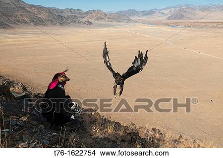 A Kazakh eagle hunter lets his golden eagle fly in the Altai Region of Bayan-? lgii in Western Mongolia View Large Photo Image Picture - A Kazakh eagle hunter lets his golden eagle fly in the Altai Region of Bayan-? lgii in Western Mongolia. Fotosearch