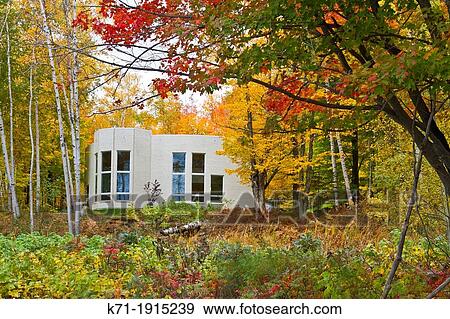A large home in the forest with fall foliage color in Marquette, Michigan, USA View Large Photo Image Stock Photo - A large home in the forest with fall foliage color in Marquette, Michigan, USA. Fotosearch