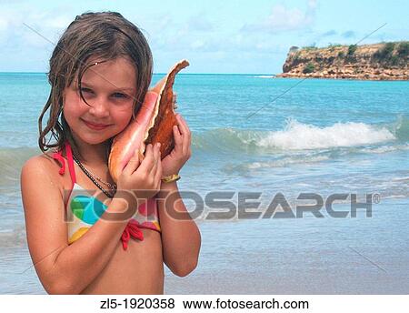 A little girl holds a seashell she found on a Caribbean beach View Large Photo Image Stock Photo - A little girl holds a seashell she found on a Caribbean beach. Fotosearch