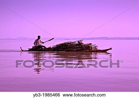 A local man transports wood across Lake Tana by Tankwa (Papyrus Boat), from the Zege Peninsular to Bahir Dar, Lake Tana, Ethiopia. View Large Photo Image Stock Photograph - A local man transports wood across Lake Tana by Tankwa (Papyrus Boat), from the Zege Peninsular to Bahir Dar, Lake Tana, Ethiopia.. Fotosearch