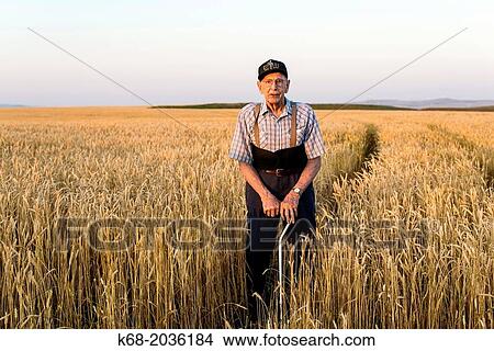 a man, 91, stands in a wheat field near Pincher Creek, Alberta, Canada. View Large Photo Image Picture - a man, 91, stands in a wheat field near Pincher Creek, Alberta, Canada.. Fotosearch