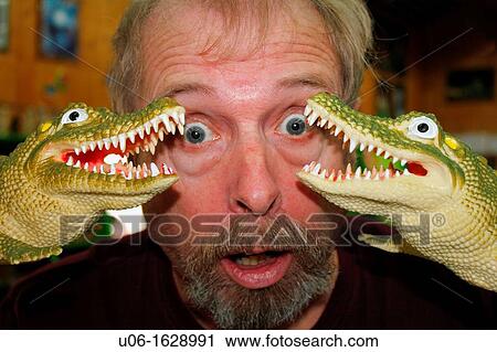 A man being threatened by plastic alligators View Large Photo Image Stock Image - A man being threatened by plastic alligators. Fotosearch