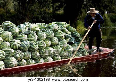 Stock Photo - A man carry vegetable in a boat in the water canals of Xochimilco in southern Mexico City. Fotosearch