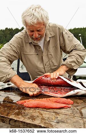 a man cleans a salmon on the dock at Nootka Island, BC, Canada View Large Photo Image Stock Image - a man cleans a salmon on the dock at Nootka Island, BC, Canada. Fotosearch