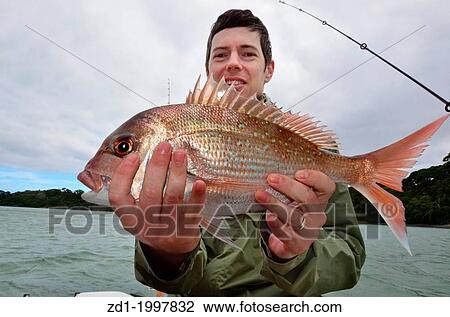 A man holds a fish that he caught during fishing at sea on a fishing boat. View Large Photo Image Stock Image - A man holds a fish that he caught during fishing at sea on a fishing boat.. Fotosearch
