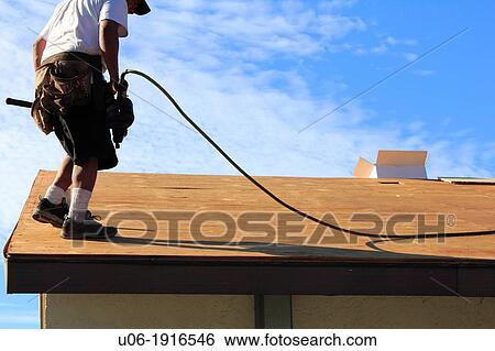 a man or roofer using a nail gun and working to replace the plywood or wood or covering and shingles on a house roof View Large Photo Image Stock Photograph - a man or roofer using a nail gun and working to replace the plywood or wood or covering and shingles on a house roof. Fotosearch