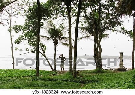 A man standing in the shade of tall trees looks out over the beach View Large Photo Image Picture - A man standing in the shade of tall trees looks out over the beach. Fotosearch