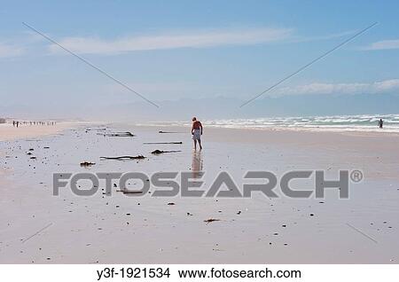 A man walks on the beach, reflected in the wet mud on an out going low tide. Muizenberg beach. Cape Town, South Africa View Large Photo Image Picture - A man walks on the beach, reflected in the wet mud on an out going low tide. Muizenberg beach. Cape Town, South Africa. Fotosearch