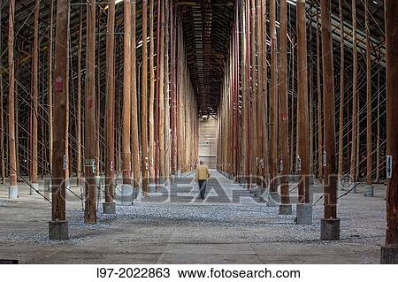 Stock Image - A man walks through the largest rustically-built structure in the world called a stick shed, built in 1941 to store wheat, Murtoa, Victoria Austrlia.. Fotosearch