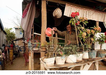 A man waters his house plants in a small village near Battambang, Cambodia. View Large Photo Image Stock Image - A man waters his house plants in a small village near Battambang, Cambodia.. Fotosearch