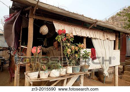 A man waters his plants in a small village near Battambang, Cambodia. View Large Photo Image Stock Image - A man waters his plants in a small village near Battambang, Cambodia.. Fotosearch