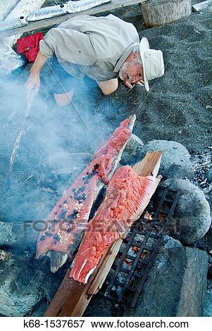 a middle-aged man cooks a salmon over a campfire on Nootka Island, BC, Canada View Large Photo Image Stock Photo - a middle-aged man cooks a salmon over a campfire on Nootka Island, BC, Canada. Fotosearch