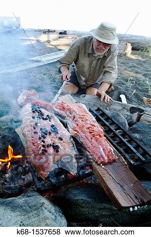 Stock Photo - a middle-aged man cooks a salmon over a campfire on Nootka Island, BC, Canada. Fotosearch