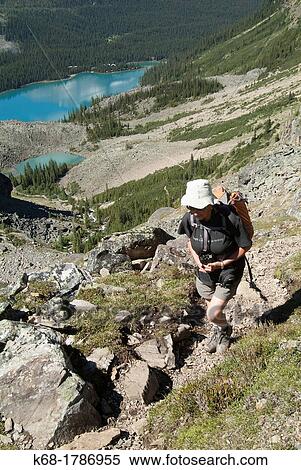 A middle-aged woman hikes in Yoho National Park, above Lake O? Hara, British Columbia, Canada View Large Photo Image Stock Photography - A middle-aged woman hikes in Yoho National Park, above Lake O? Hara, British Columbia, Canada. Fotosearch
