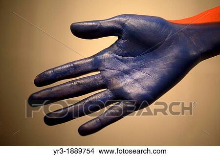 Picture - A model shows her hand painted in blue during a body painting session with make-up artist Erika Monroy, founder of Akin Body Painting, in Toluca, Mexico, November 9, 2012. Fotosearch