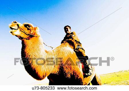 A Mongol Man Rides His Double Hump Bactrian Camel Stock Image U73 805233 Fotosearch