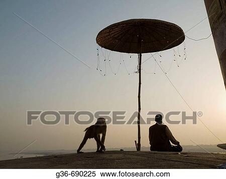 Stock Photography - A monkey approaches a pilgrim in Varanasi, India, a sacred Hindu pilgrimage site.. Fotosearch