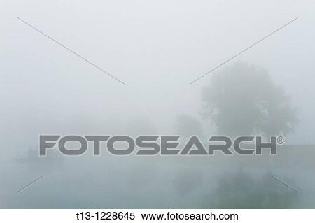 A moored vessel in foggy morning View Large Photo Image Stock Photography - A moored vessel in foggy morning. Fotosearch