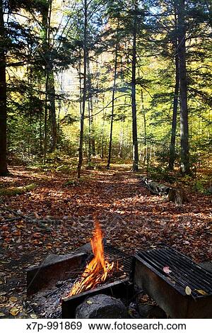 A morning campfire View Large Photo Image Stock Photo - A morning campfire. Fotosearch