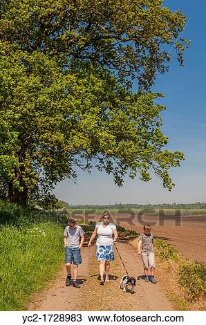 A mother and her two sons walking the dog in the countryside in Spring in Suffolk, England, Britain, Uk View Large Photo Image Stock Image - A mother and her two sons walking the dog in the countryside in Spring in Suffolk, England, Britain, Uk. Fotosearch