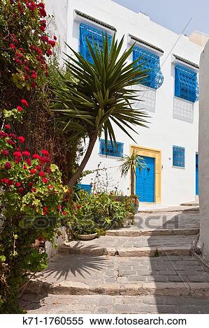 A narrow street with blue and white architecture in Sidi Bou Said, Tunisia View Large Photo Image Stock Photography - A narrow street with blue and white architecture in Sidi Bou Said, Tunisia. Fotosearch