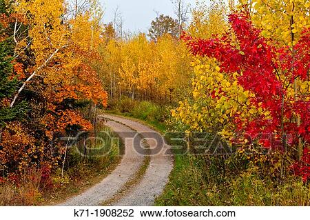 Stock Image - A narrow trail through fall foliage color in the forests near Grand Rapids, Minnesota, USA. Fotosearch